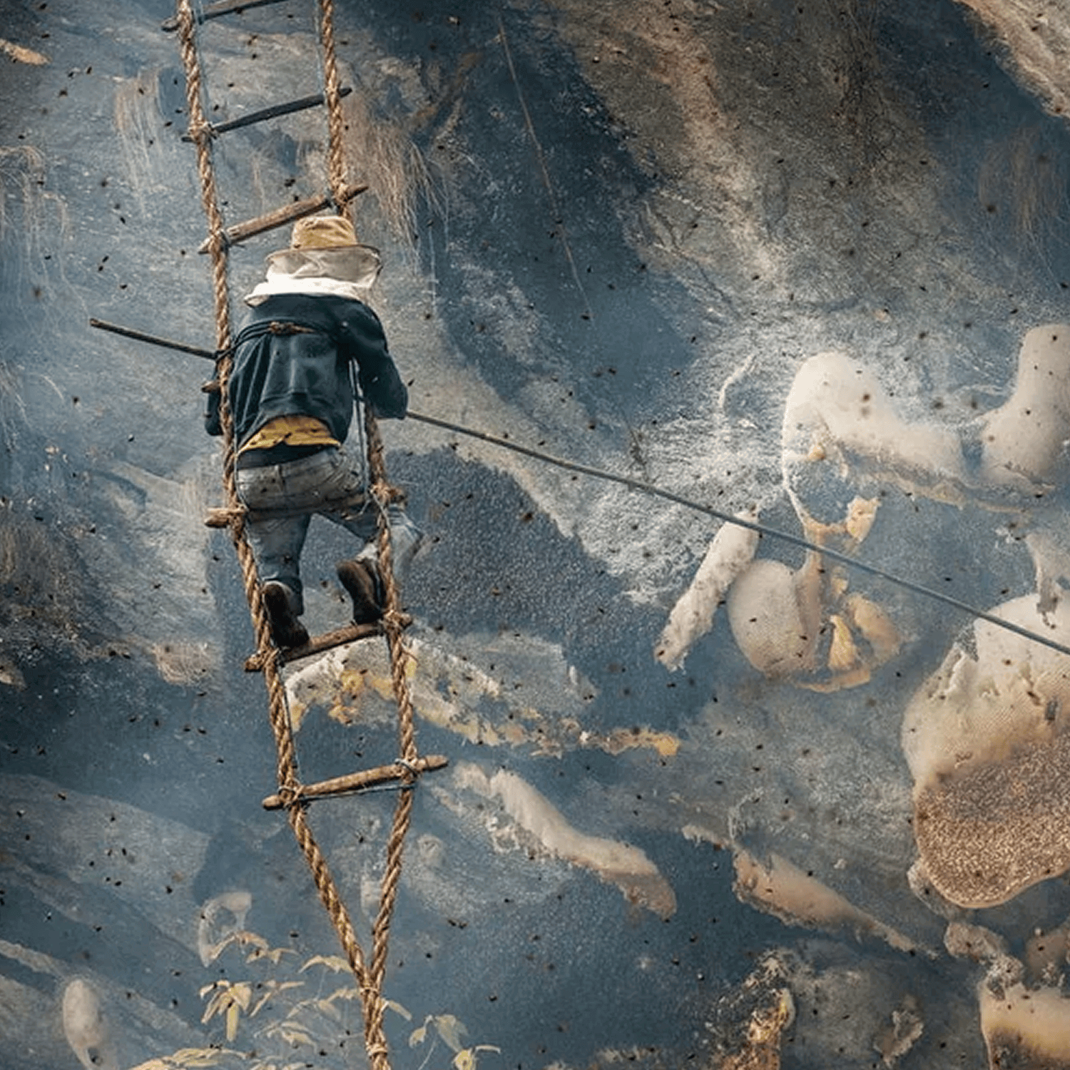 Climbing High Cliffs